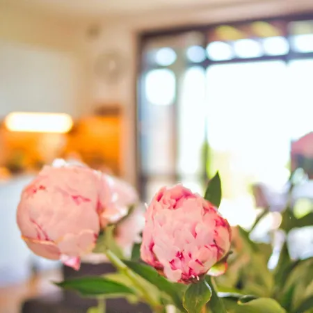Appartement Marta Flat, Mountain And View, Bellagio Civenna